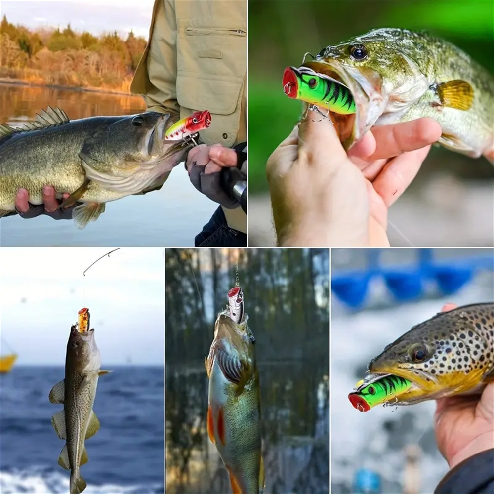 5 個ポッパー釣りルアー 3D アイズベイトトップウォーター - Fishing Lure Popper のレビューと価格